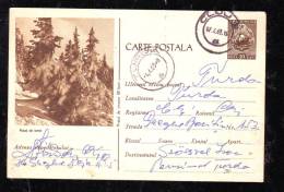 IARNA WINTER 1963 STATIONERY POSTCARD ROMANIA. - Lettres & Documents