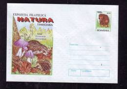 HEDGEHOG,ARICI,HERISON 1998,COVER,STATIONARY,ENTIER POSTAL,UNUSED, ROMANIA. - Rodents