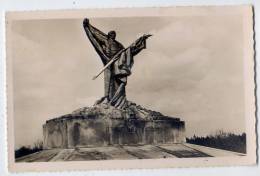 VERDUN--Monument  élevé Au "Mort Homme " à La Mémoire Des Morts De La 69° Division  , Cpsm 9 X 14 N° 61  éd Réant - Verdun