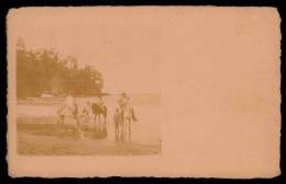 SÃO TOMÉ E PRINCIPE - Postal Fotográfico - Cavalos Na Praia. Old REAL PHOTO Postcard Africa 1900s - Sao Tome En Principe