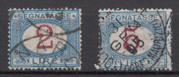 Regno D'Italia - 1903 Segnatasse: 2 E 5 Lire Azzurro E Carminio Sass. 29-30 - Segnatasse