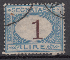 Regno D'Italia - 1870 Segnatasse (usato) 1 Lira Azzurro Chiaro E Bruno Sass. 11 - Strafport