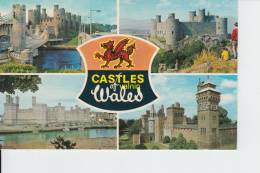 Castles Of Wales - Other & Unclassified