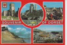 Dorset - Altri & Non Classificati