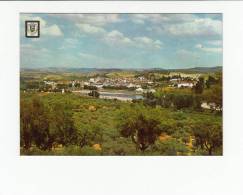 Portugal Cor 21067 - MIRANDELA - VISTA PANORÂMICA - Bragança