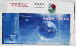 Seagull,gull Bird,China 2000 Fujian Care Disabled Persons Advertising Pre-stamped Card - Mouettes