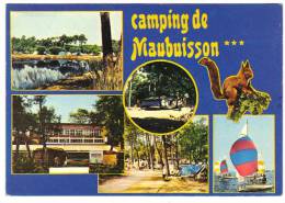 CPM De Carcans Maubuisson   Camping De Maubuisson - Carcans