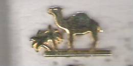 Pin's CAMEL  DORE  Signe CAMEL - Rallye