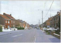 Carte Postale 59. Auby  Rue Des Frères Duyne Trés Beau Plan - Auby