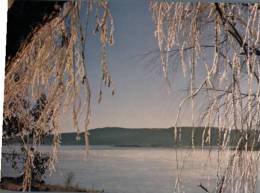 (306) Australia - NSW - Jindabyne Lake - Sonstige & Ohne Zuordnung