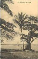 Afrique - Africa -guinée - Ref A318- Conakry -le Phare - Theme Phares  -carte Bon Etat - - Guinée Française