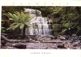 (306) Australia - TASD - Liffey Falls - Autres & Non Classés