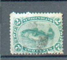 C186 - TERRE NEUVE - YT 21 Obli - 1865-1902