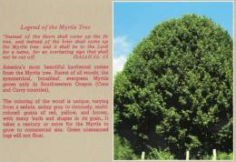 Legend Of The Myrtle Tree -  Evergreen Myrtle SW Oregon - Smith Western DP-7 B Unused - Sonstige & Ohne Zuordnung