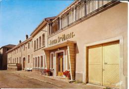 57 - Moselle - VIC-SUR-SEILLE - Foyer Sainte Marie - Format 10,3 X 14,7 - Pierron N° 8361 - Sarreguemines - Vic Sur Seille