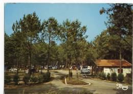 BISCAROSSE. - Le CAMPING " LA RIVE " .CPM - Biscarrosse