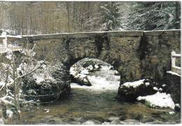 Carte Postale 88. Plainfaing  La Meurthe Au Rudin Sous La Neige Trés Beau Plan - Plainfaing