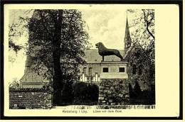 Ratzeburg  I. Lbg  -  Löwe Vor Dem Dom  -  Ansichtskarte Ca.1955    (1578) - Ratzeburg