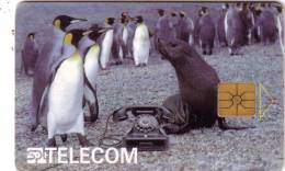 REPUBLIQUE TCHEQUE  PINGOUINS PINGUINS VIEUX TELEPHONE OLD PHONE  UT - Telefoon