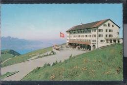 Rigi Kulm - Mit Pilatus Und Vierwaldstättersee - Wald