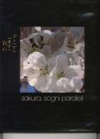 SAKURA, SOGNI PARALLELI - Arts, Antiquités