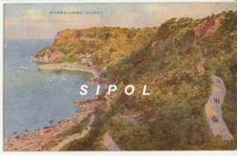 Babbacombe Slopes Jolie Carte Cartonnée Signé CT Howard  Animée Voyagé En 1953T BE - Torquay