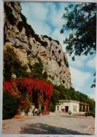 CP LANGUEDOC Grotte Des Demoiselles La Caverne Merveilleuse Entrée Terrasse Et Buvette - Ganges