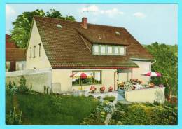 Postcard - Cafe Und Pension Busekros    (V 16505) - Cafés