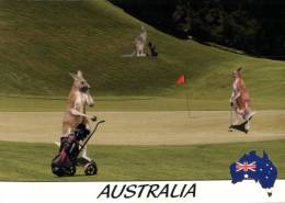 (678) Sport - Golf Course - Kangaroo Playing Golf - Golf