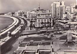 ALEXANDRIA  * - Alexandrië