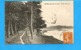 45 CHATILLON Sur LOIRE : Allée D'Ousson - Chatillon Sur Loire