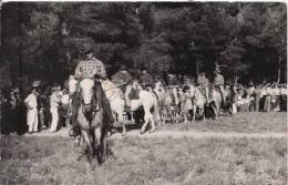 LE BEAUSSET CARTE PHOTO FETE DE SAINT ELOI (CAVALIERS ET FOULE) - Le Beausset