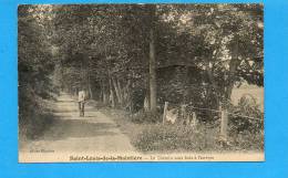 28 -68 Saint Louis De La Mulotière : Le Chemin Sous Bois à L´arrivée (pliée Dans Le Milieu) - Saint Louis