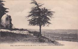 MAINE ET LOIRE CHAMPTOCEAUX LA TERRASSE DE LA PROMENADE PUBLIQUE Editeur J Nozais - Champtoceaux