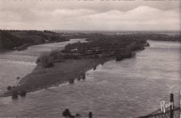 MAINE ET LOIRE CHAMPTOCEAUX VUE PRISE DE CHAMPTOCEAUX VERS ANCENIS Editeur F Chapeau Rosy - Champtoceaux