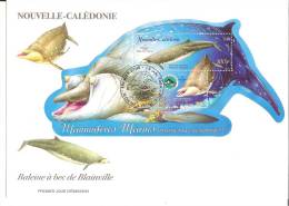 Premier Jour  Bloc Baleine A Bec De Blainville Nouvelle Caledonie Mamiferes Marins - Wale