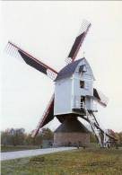 OLEN (Prov. Antwerpen) - Molen/moulin - De Pas Opgerichte Buulmolen, Opgezeild En In Werking (herfst 2003). - Olen