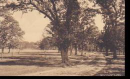 Wisconsin Fort Atkinson A Drive Thru City Park Albertype - Sonstige & Ohne Zuordnung