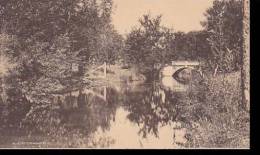 Wisconsin Whitewater Bellow North Street Bridge Albertype - Sonstige & Ohne Zuordnung