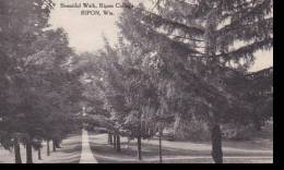 Wisconsin Beautiful Walk Ripon College Albertype - Other & Unclassified