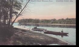 Wisconsin Stevens Point Martins Island Wisconsin River Albertype - Altri & Non Classificati
