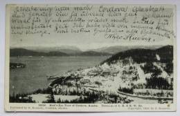 Alaska Bird 'Eye Terminal 1916 - Other & Unclassified