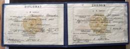 Diploma Diplom From Lithuania USSR,  Technical School Of Agriculture, 1972 Year, 2 Photos - Diplomi E Pagelle