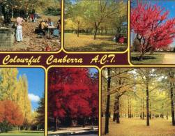 (301) Australia - ACT - Canberra Colourful - Canberra (ACT)