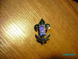 ESTONIA  SCOUTING  , BOY SCOUT   MERIT  BADGE , BEFORE 1940 - Scoutismo