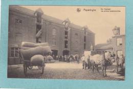 POPERINGHE - De Hopteelt. - La Culture Houblonnière  - Jurande Municipale Et Halle Aux Houblons  - TRES BELLE CARTE   - - Poperinge