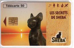 Télécarte  En  1590, Animal  CHAT  SHEEBA  Chat  Et  Origines, 50 U Neuve, Cote  14€, 09/96, 5091 Ex - 50 Unités   