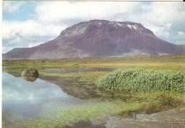 Islande  Herdureid In North-eastern - Iceland