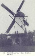 Molen Brasschaat Molen De Winter 452 - Brasschaat