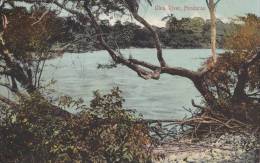 Postcard Ulua River 1900-1910( Postally Not Used) - Honduras